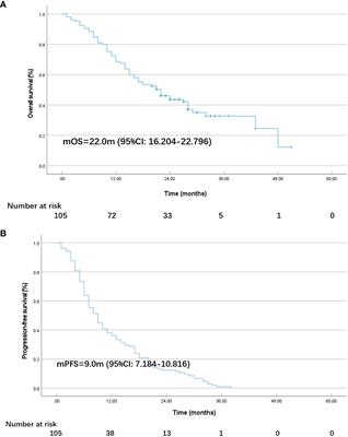 Effectiveness of PD-1 inhibitor-based first-line therapy in Chinese patients with metastatic gastric cancer: a retrospective real-world study
